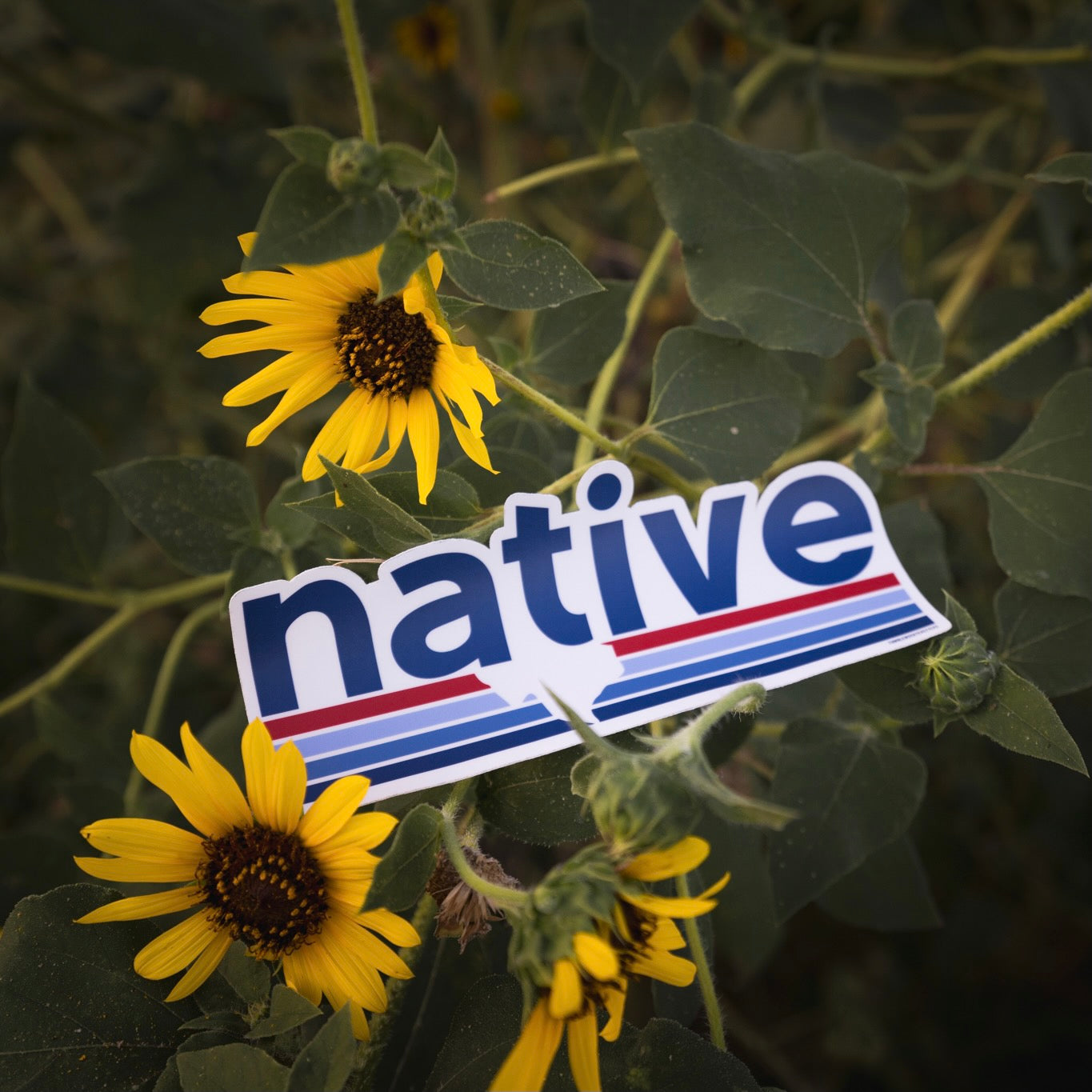 Native Texan Bumper Sticker