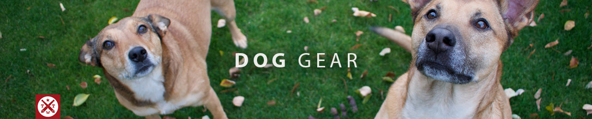 Dog Gear